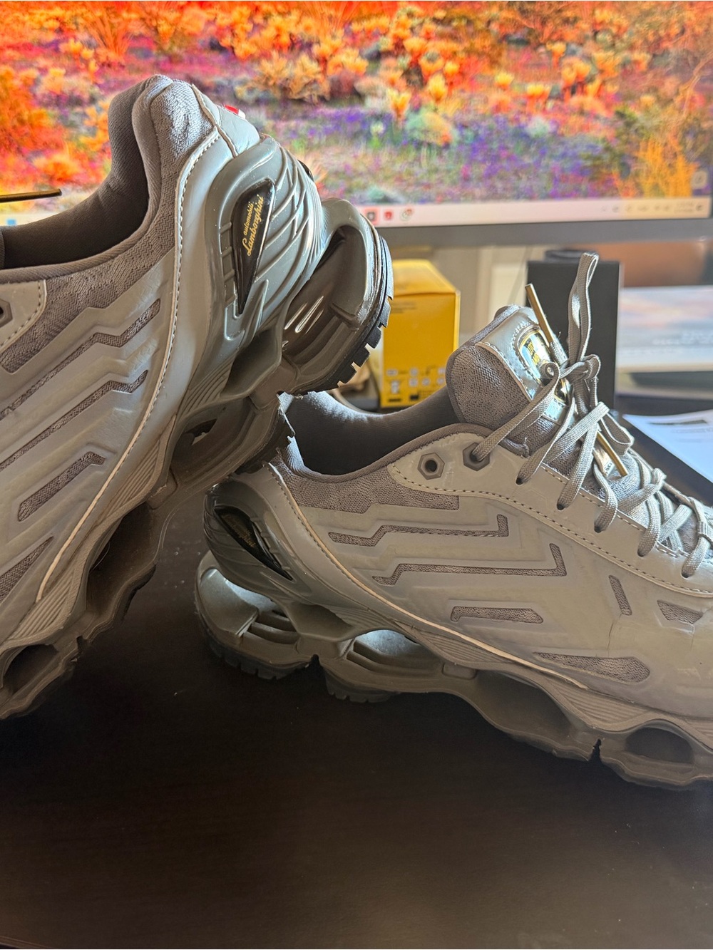 Mizuno Men's Lamborghini Athletic Shoes in Light Gray and Silver